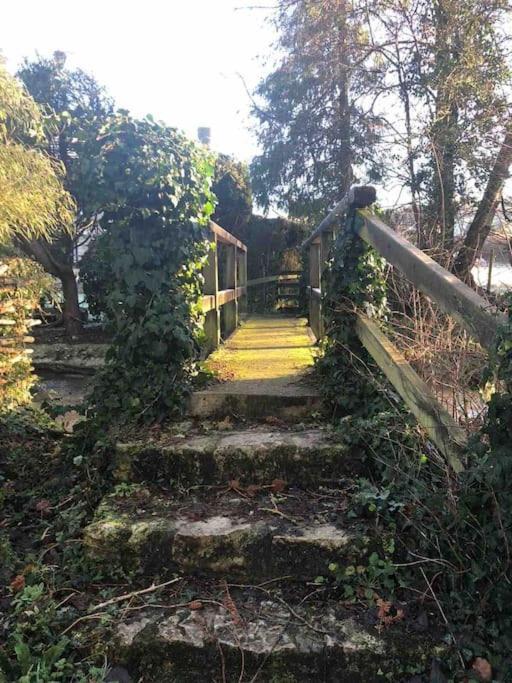 Eco-Friendly Dorset Cottage With Spa Set In Heart Of Countryside Sydling St Nicholas 外观 照片