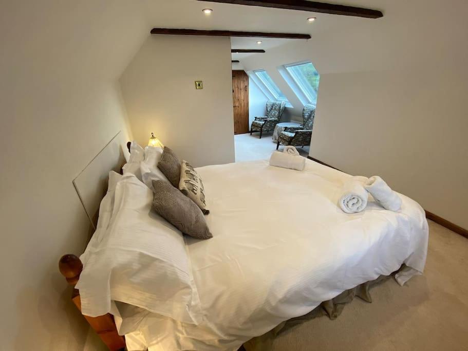 Eco-Friendly Dorset Cottage With Spa Set In Heart Of Countryside Sydling St Nicholas 外观 照片